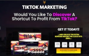 Leaders Road | TikTok Marketing Course